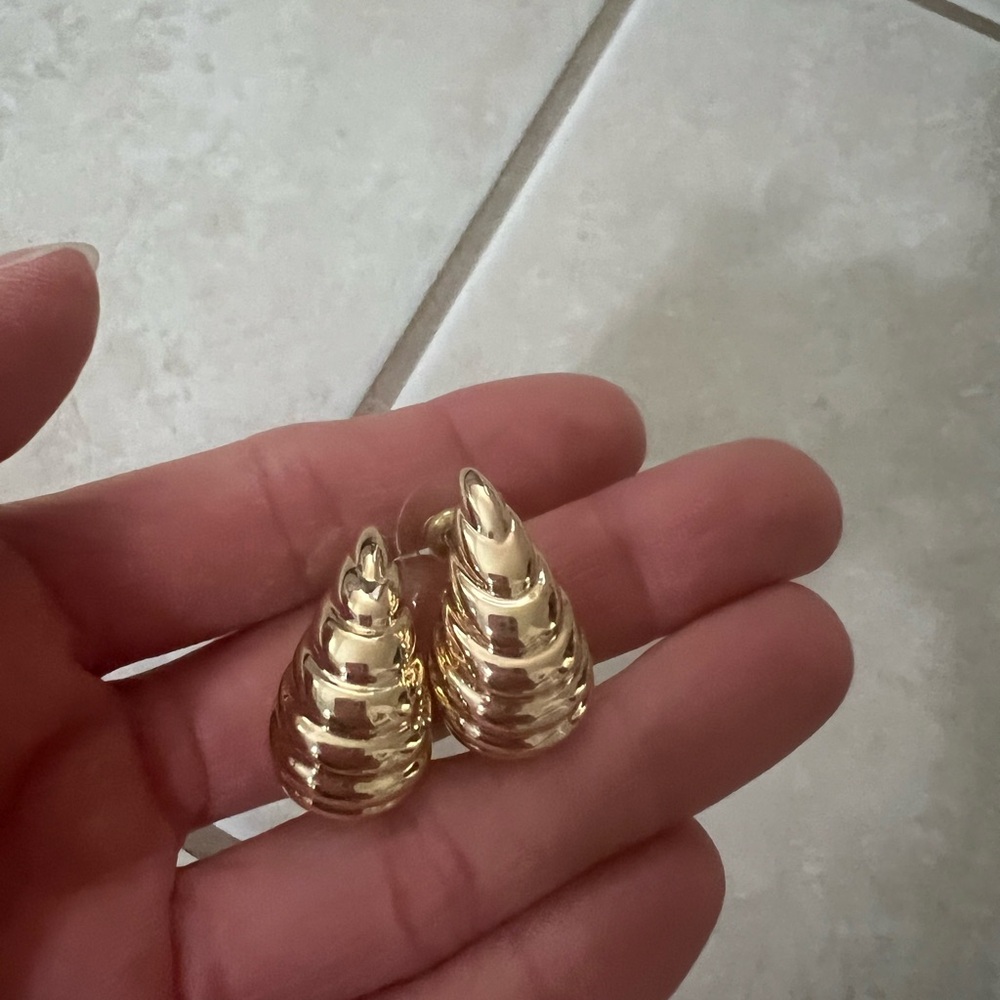 Elegant Gold Shell Earrings